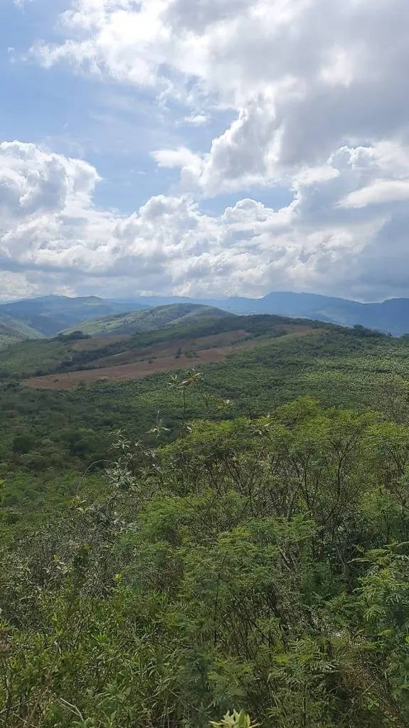 4,500 m² lot for sale in Samaipata, Las Colinas development: foto 10 de 11