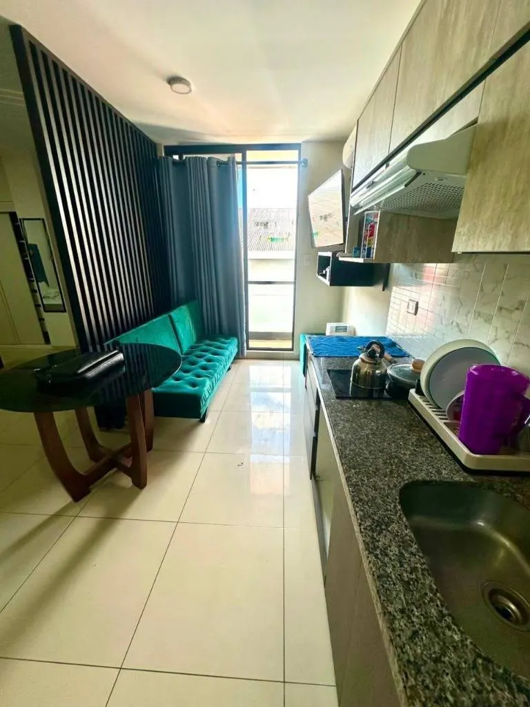 Furnished studio for rent in the Curupau Nord building: foto 8 de 14