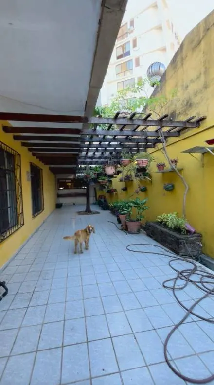 Casa de 633 m² con uso de suelo mixto en venta en el Centro: foto 5 de 7
