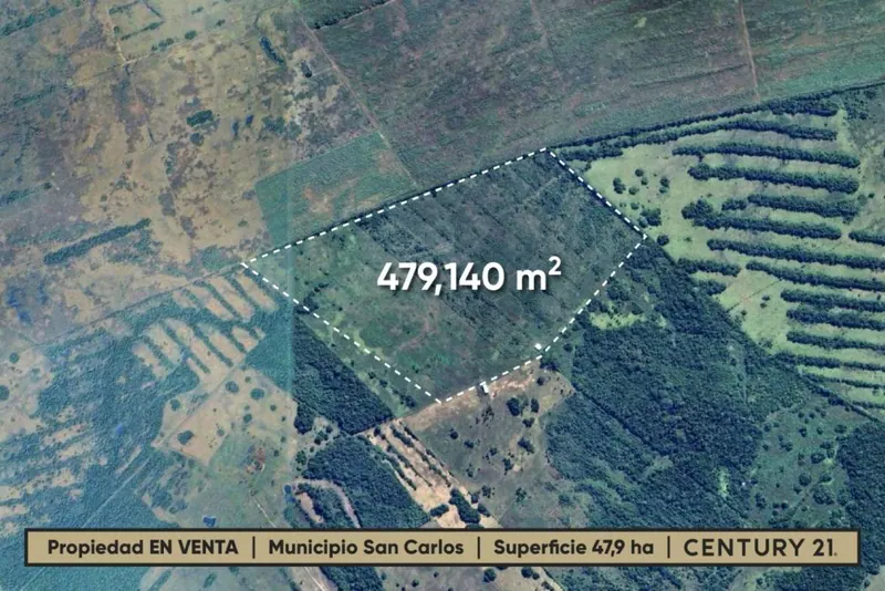 Propiedad agrícola de 47,9 hectáreas en venta en San Carlos, Ichilo: foto 3 de 4