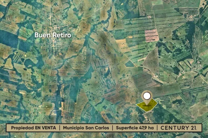 Propiedad agrícola de 47,9 hectáreas en venta en San Carlos, Ichilo: foto 4 de 4