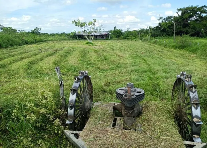 Propiedad agrícola de 47,9 hectáreas en venta en San Carlos, Ichilo: foto 1 de 4