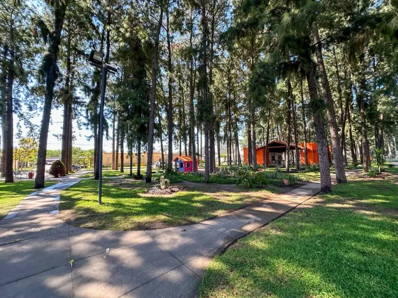 3-bedroom house for sale in Sevilla Pinatar, North Zone: foto 10 de 11