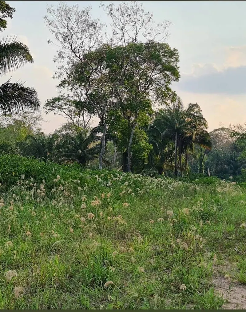 Terreno de 480 m² en venta en la urbanización Tierra Santa, Urubó: foto 9 de 10