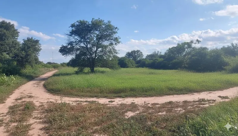 419.80 m² lot for sale in Pailón