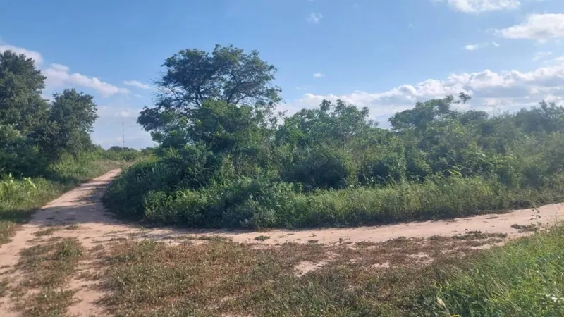 Terreno de 419,80 m² en venta en Pailón: foto 4 de 10