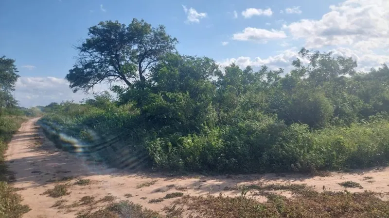 Terreno de 419,80 m² en venta en Pailón: foto 5 de 10
