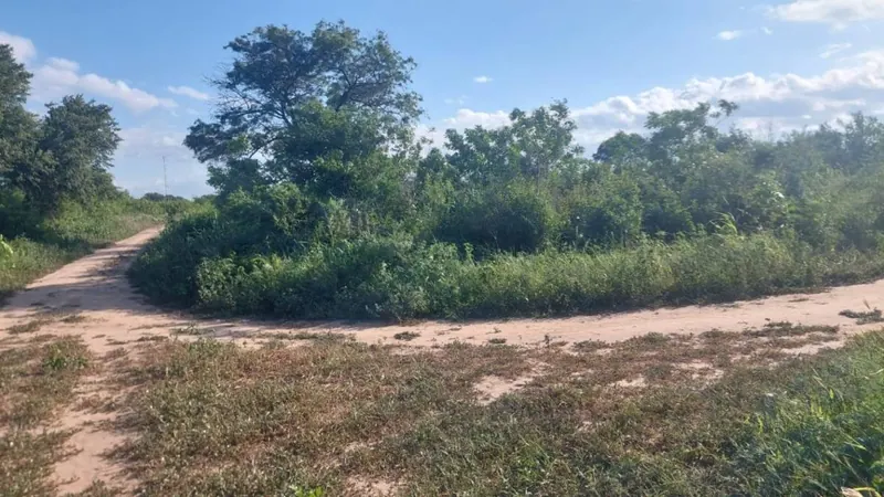 Terreno de 419,80 m² en venta en Pailón: foto 7 de 10