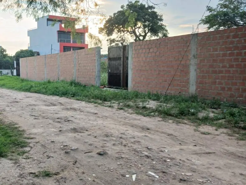 Dos terrenos juntos en esquina en venta en la Zona Sur, 532,75 m²: foto 2 de 10
