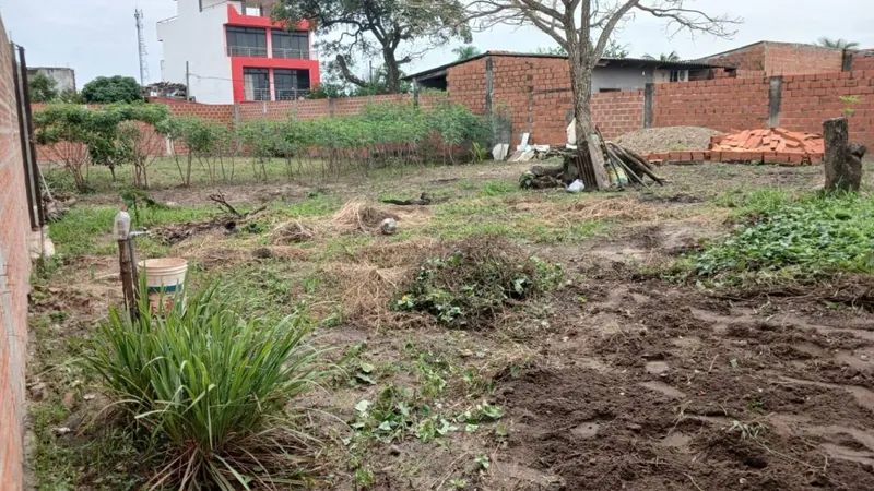 Dos terrenos juntos en esquina en venta en la Zona Sur, 532,75 m²: foto 7 de 10