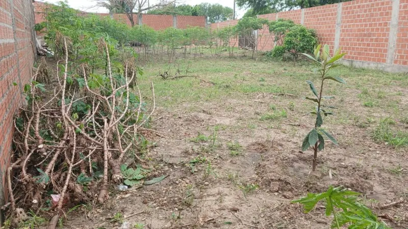 Dos terrenos juntos en esquina en venta en la Zona Sur, 532,75 m²: foto 8 de 10