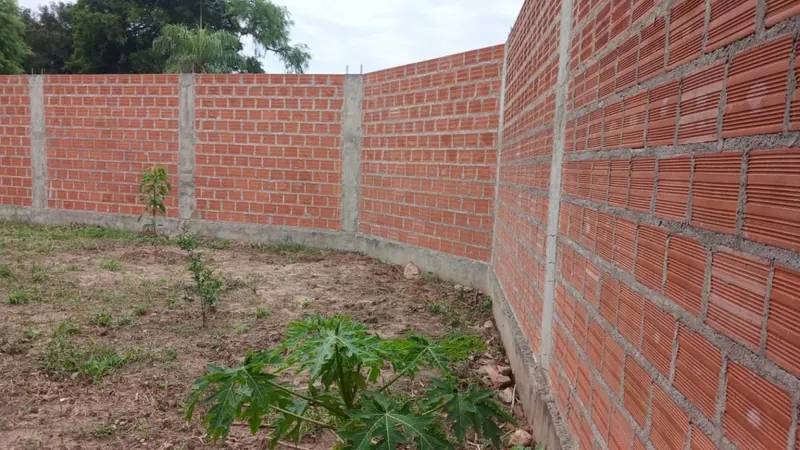 Dos terrenos juntos en esquina en venta en la Zona Sur, 532,75 m²: foto 9 de 10