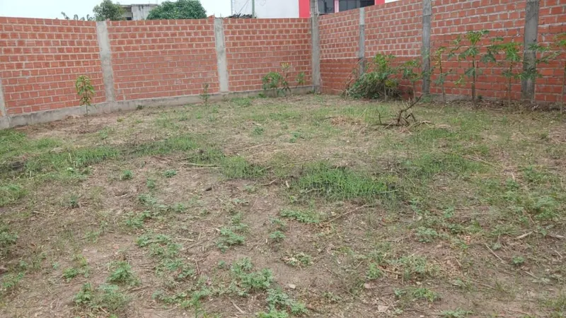 Dos terrenos juntos en esquina en venta en la Zona Sur, 532,75 m²: foto 10 de 10