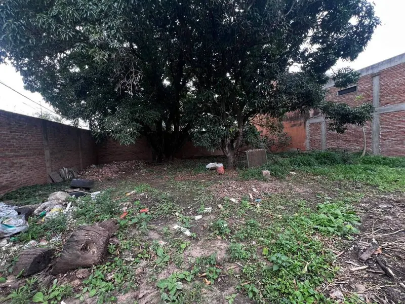 488 m² corner lot for rent in the North Zone: foto 5 de 6