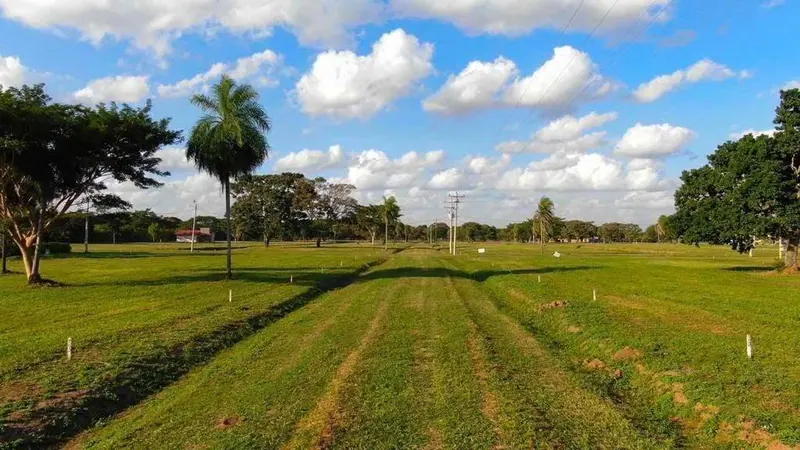 Terreno de 300 m² en venta en el Complejo Acuático Zuriel, Cotoca: foto 13 de 15