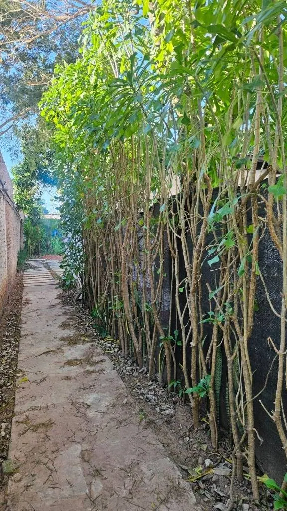 Terreno con 4 unidades habitacionales en venta en la Zona Norte: foto 9 de 10