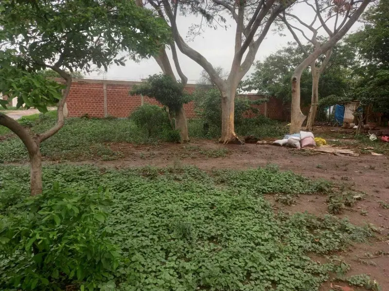 Lots for sale on Av. 3 Pasos al Frente, 9th ring: foto 5 de 8