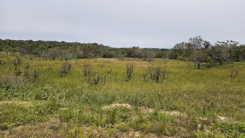 300 m² lot for sale in Ciudad del Urubó: foto 3 de 4