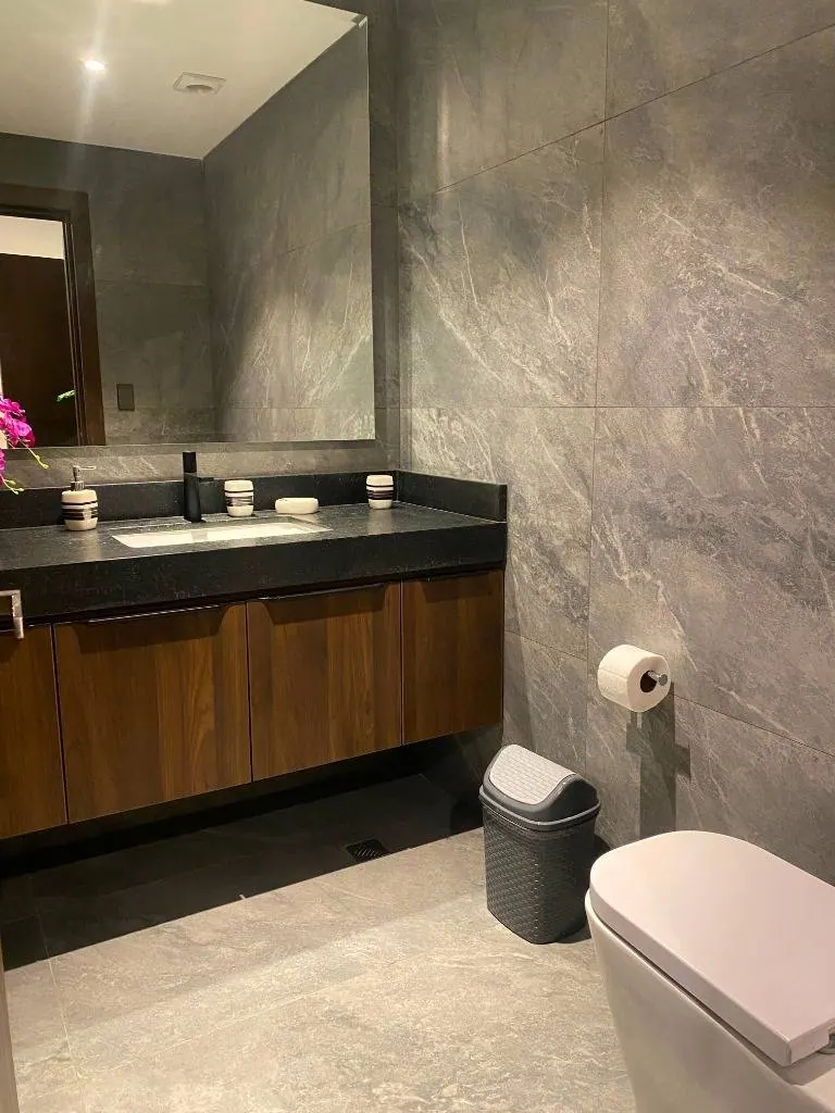 Furnished 1-bedroom apartment for rent in Green Tower: foto 9 de 9