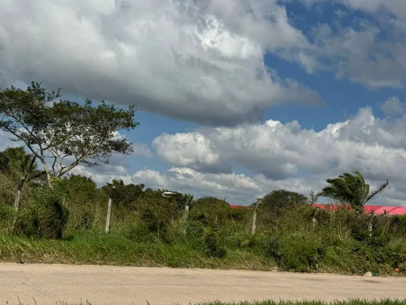 Terreno de 77.327 m² en venta en Los Olivos, Mapaiso, Cotoca: foto 3 de 3