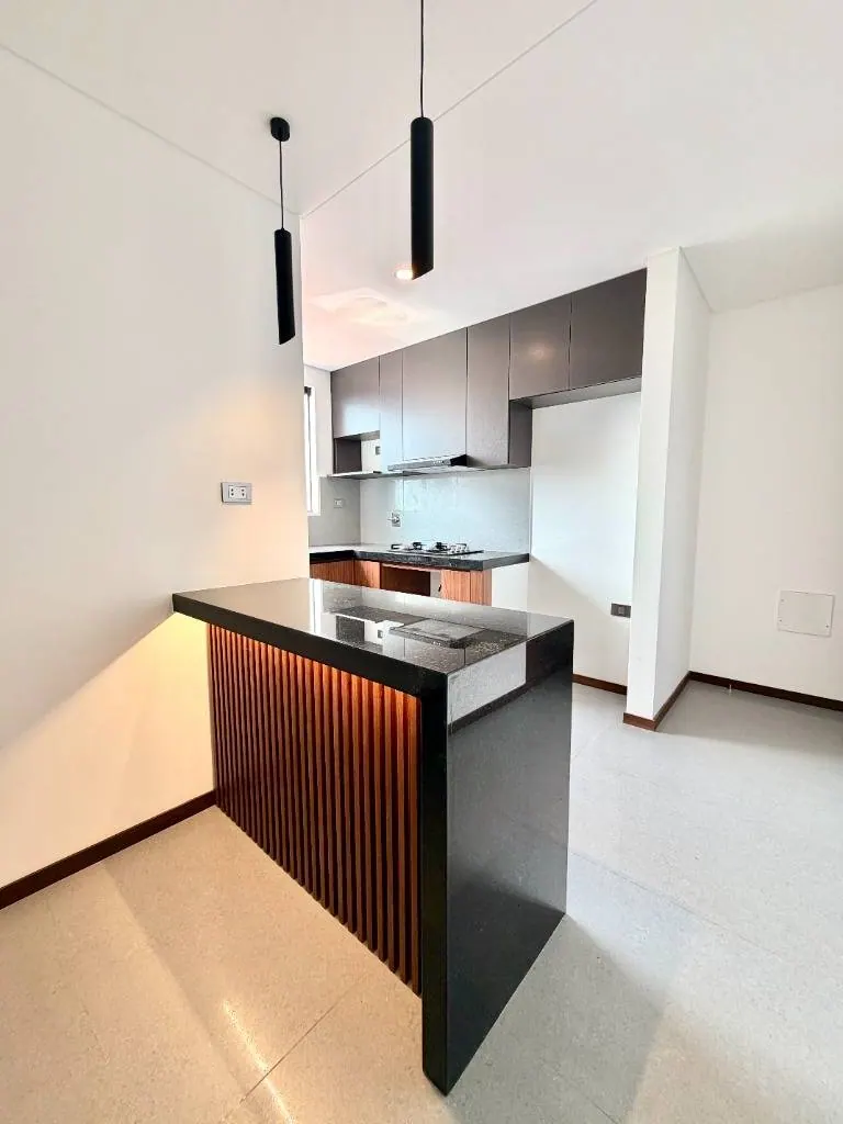 1-bedroom brand-new apartment for sale on Av. Alemana: foto 4 de 6