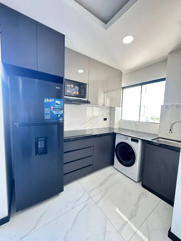 Departamento amoblado de 1 dormitorio en alquiler en la Zona Norte: foto 3 de 5