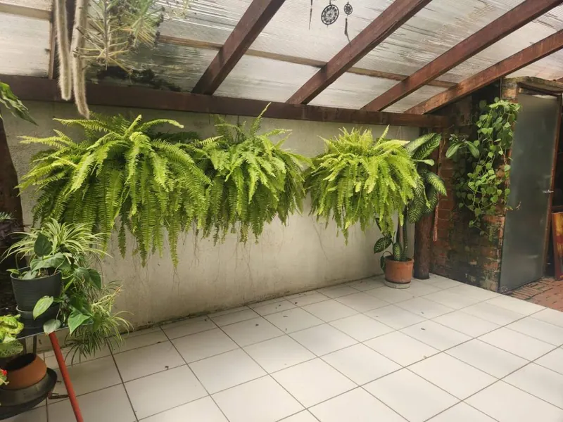 3-bedroom house for sale in Santa Cruz de la Colina, Urubó: foto 15 de 16