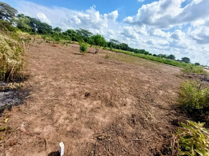 Terreno de 300 m² en venta en la urbanización Campo Grande 2: foto 1 de 4