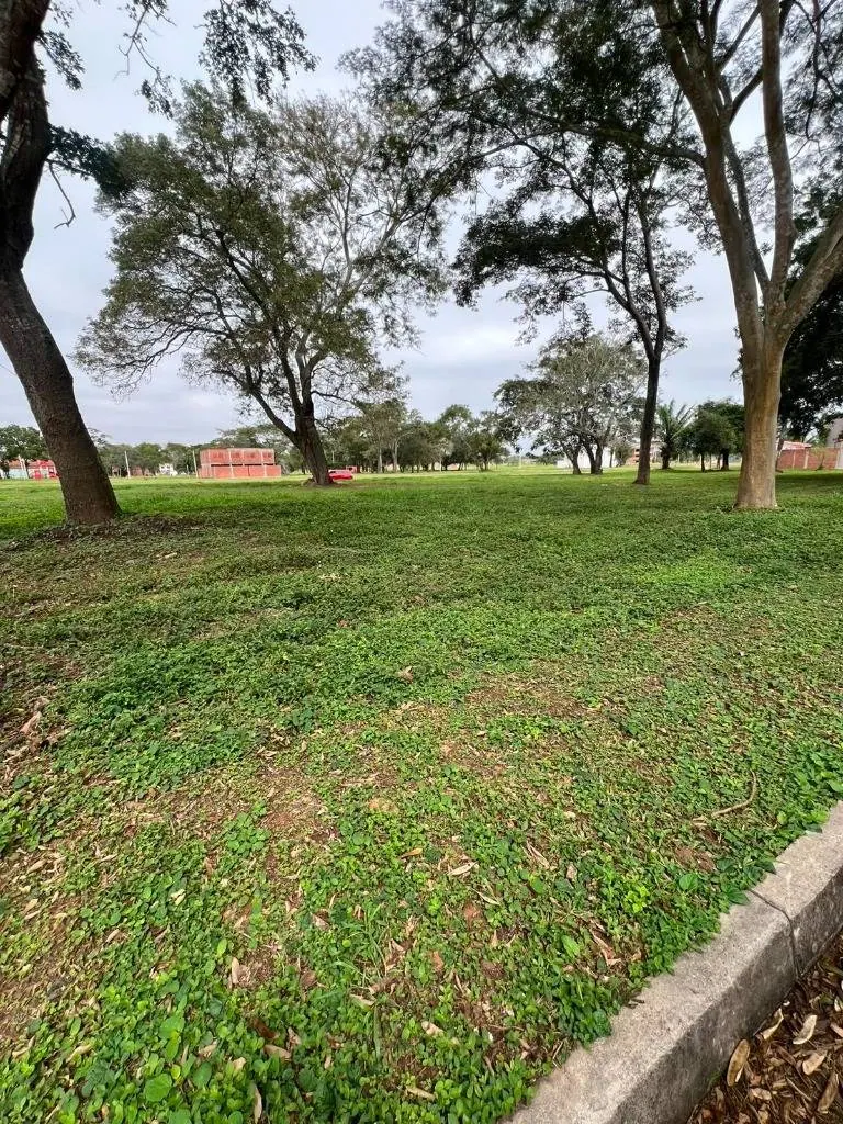 Terreno de 280 m² en venta en la urbanización La Molina, Zona Norte: foto 7 de 10