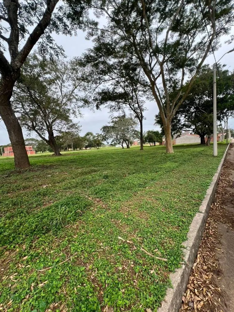 Terreno de 280 m² en venta en la urbanización La Molina, Zona Norte: foto 9 de 10