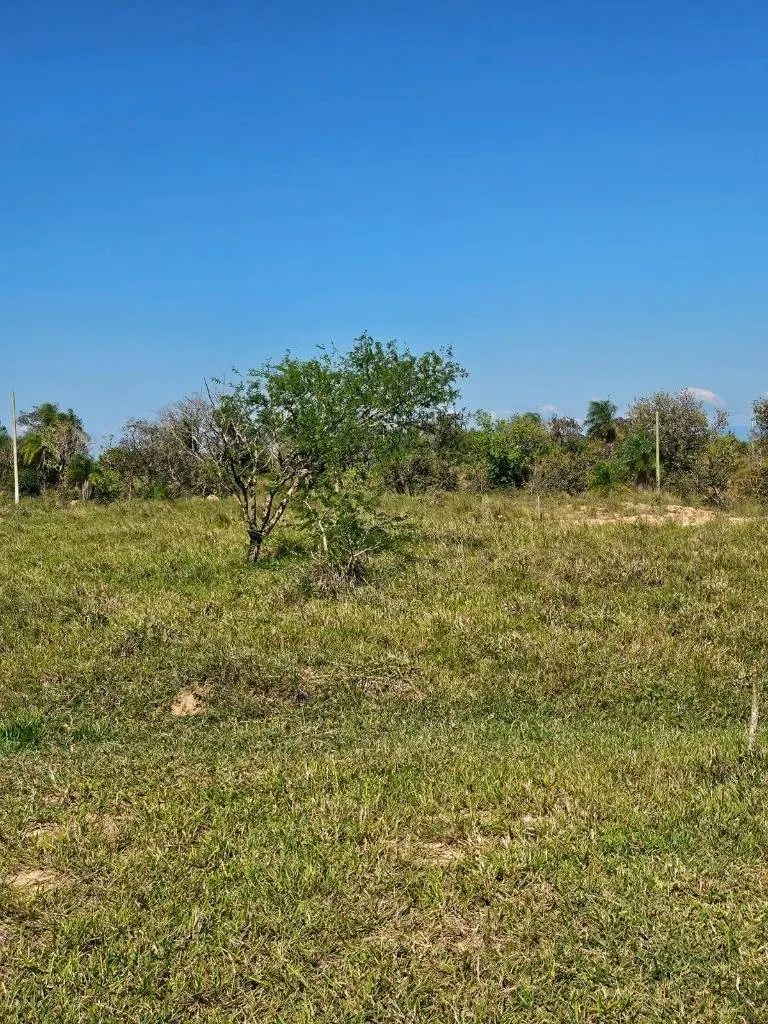 300 m² lot for sale in the El Edén development, Colpa Bélgica: foto 2 de 5