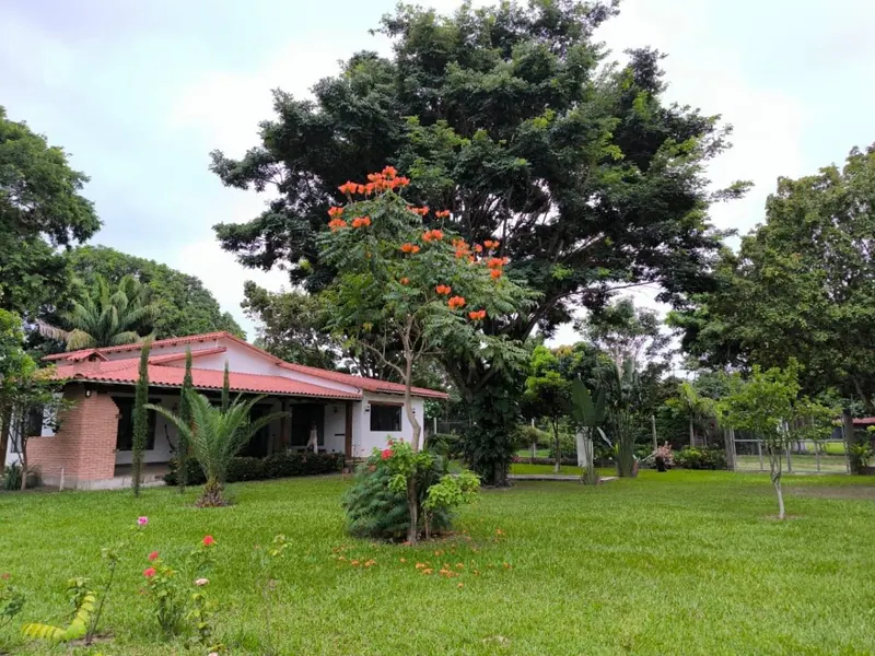 Casa quinta de 3.283 m² en venta en la urbanización Las Palmas