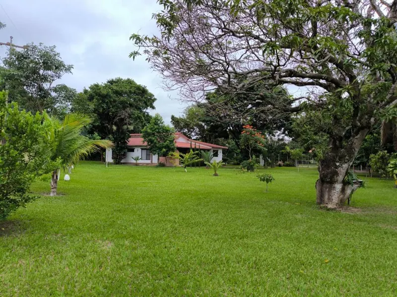 3,283 m² country property for sale in the Las Palmas development: foto 12 de 17