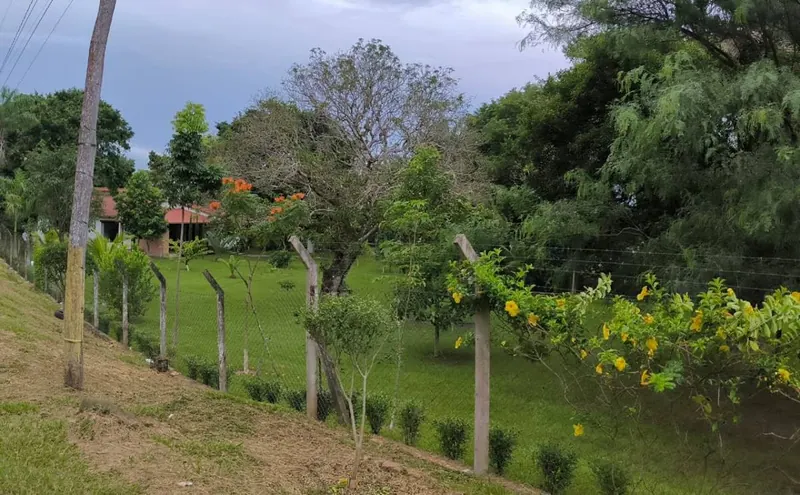 3,283 m² country property for sale in the Las Palmas development: foto 13 de 17