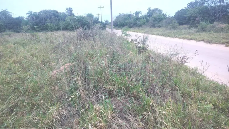 300 m² lot for sale in the Ciudad del Urubó development: foto 2 de 5