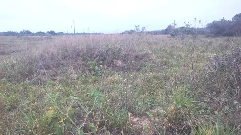300 m² lot for sale in the Ciudad del Urubó development: foto 4 de 5