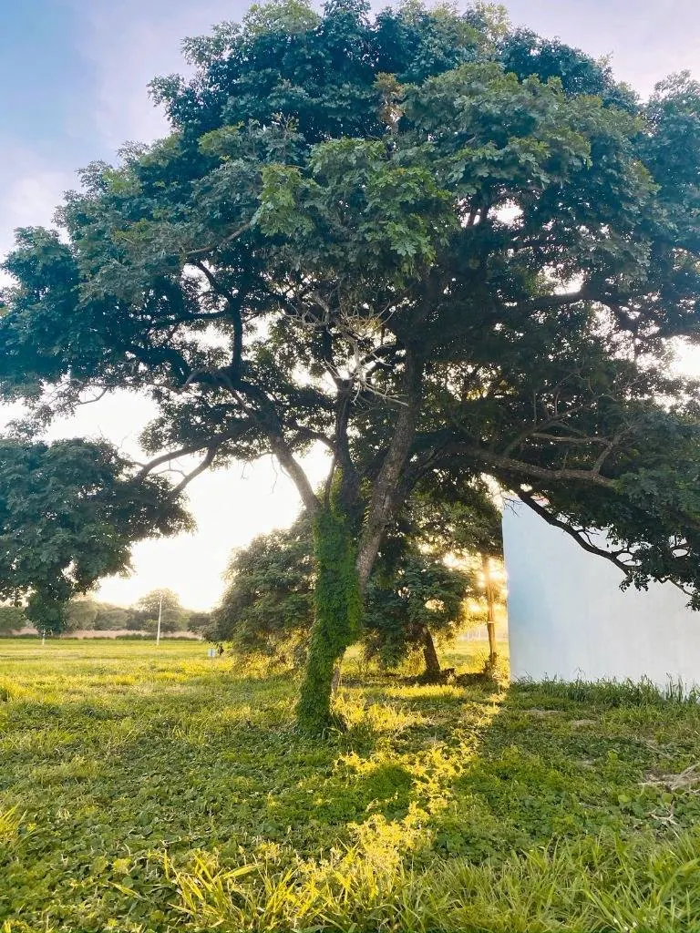 Terreno de 463,18 m² en venta en la urbanización Urubó Norte: foto 3 de 9