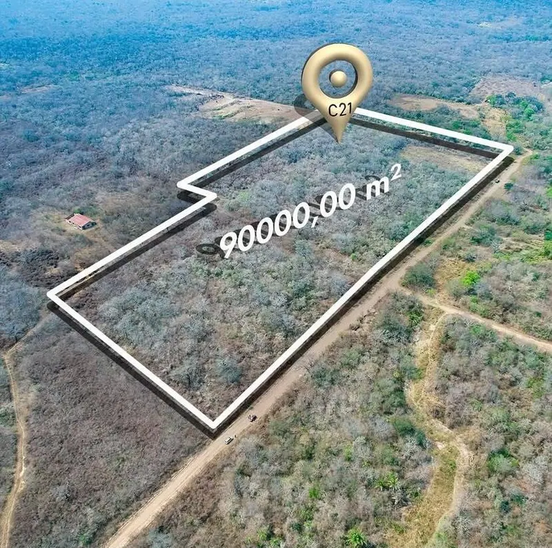 Terreno de 9 hectáreas en venta en San José de Chiquitos: foto 3 de 6