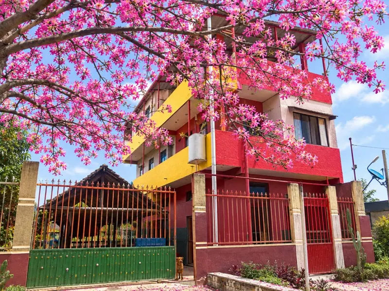Casa quinta en venta en Cotoca, terreno de 1.301,93 m² con piscina: foto 10 de 10