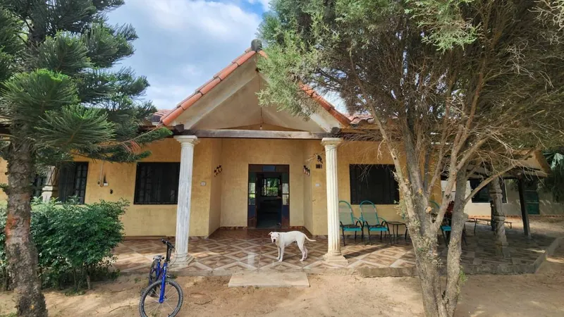 Casa de 5 dormitorios en venta en la urbanización El Quior: foto 8 de 18