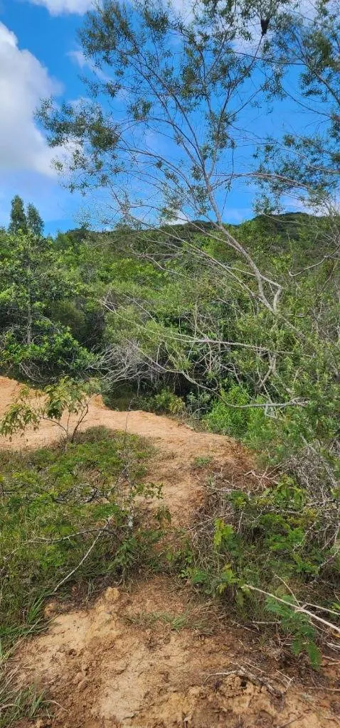 Terreno de 4.660,01 m² en venta en Samaipata, Barrio Arriba: foto 8 de 8