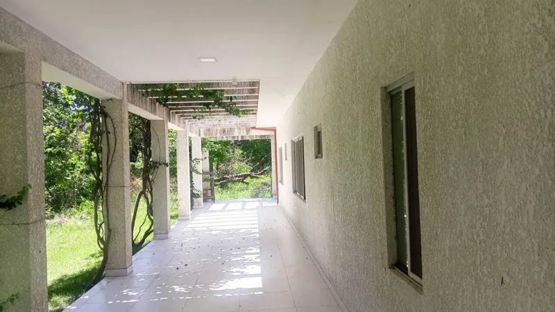 3.19-hectare rural property for sale in the East Zone: foto 6 de 7