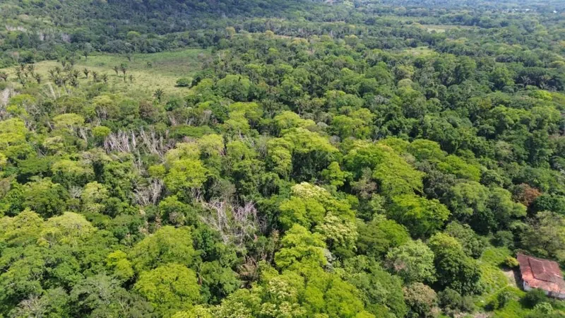 Propiedad rural titulada de 51,3574 ha en venta en el Urubó: foto 3 de 8