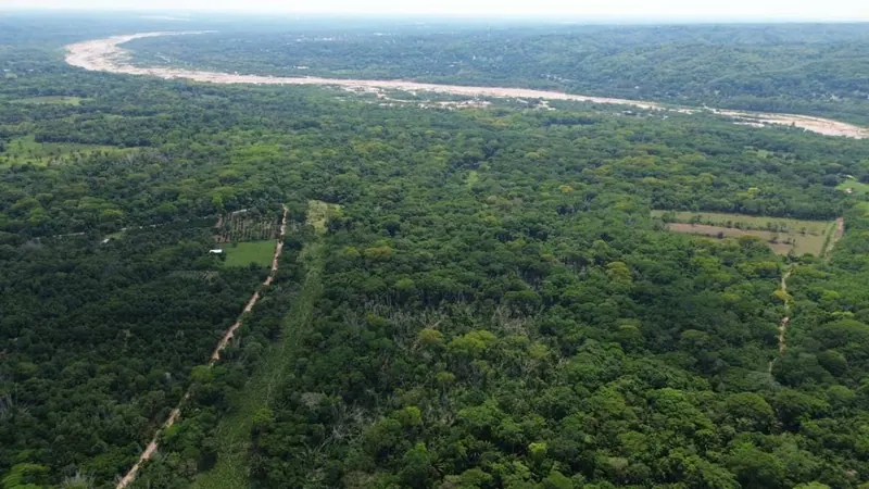 Propiedad rural titulada de 51,3574 ha en venta en el Urubó: foto 4 de 8