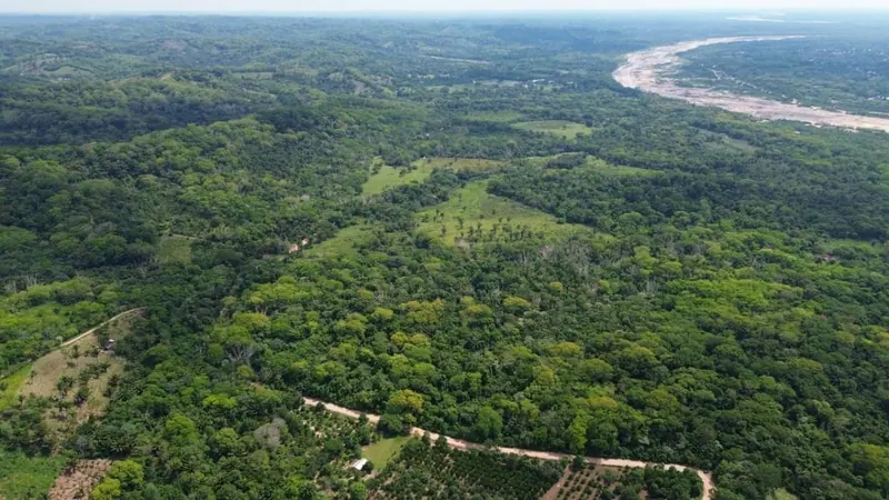Propiedad rural titulada de 51,3574 ha en venta en el Urubó: foto 5 de 8