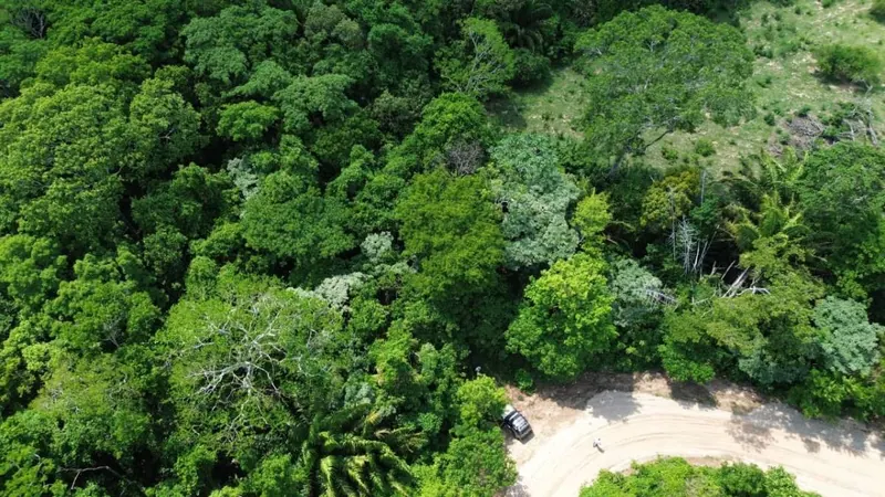 Propiedad rural titulada de 51,3574 ha en venta en el Urubó: foto 6 de 8
