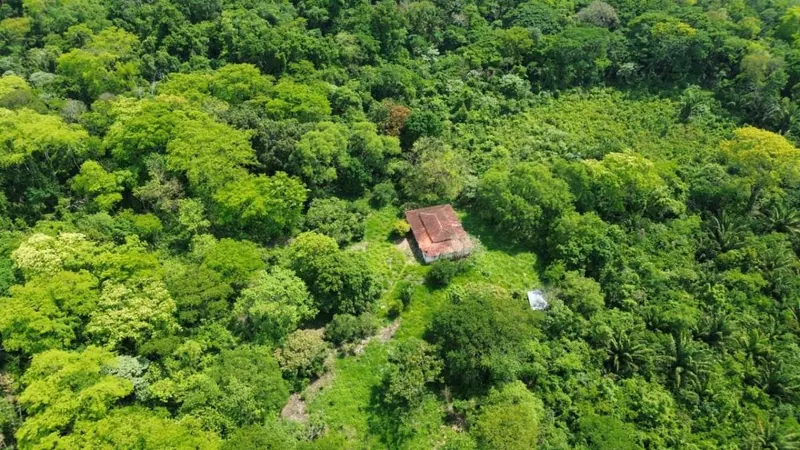 Propiedad rural titulada de 51,3574 ha en venta en el Urubó: foto 8 de 8
