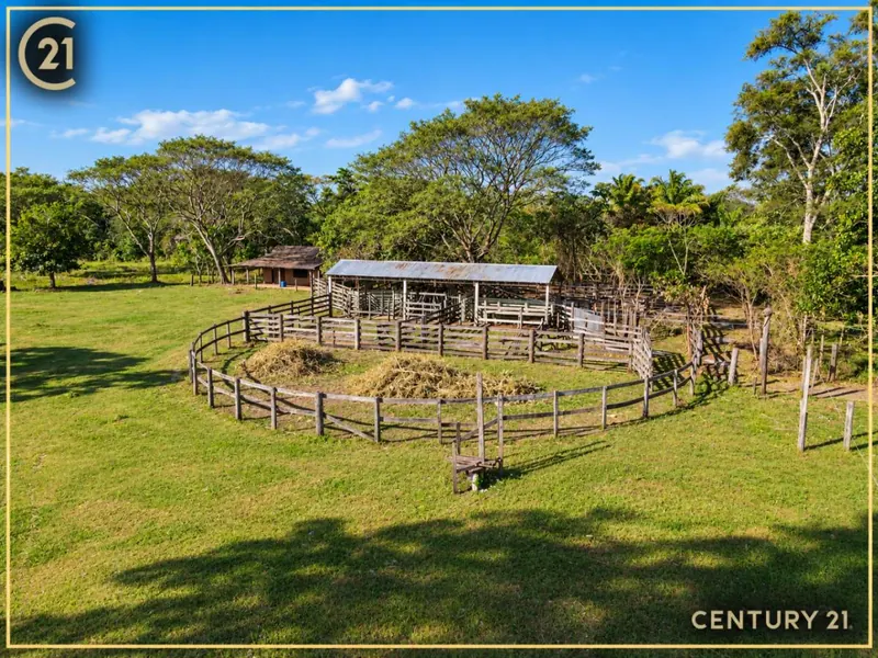 Propiedad rural de 21 hectáreas en venta en Portachuelo: foto 4 de 20