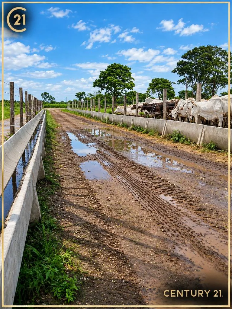 Propiedad rural de 21 hectáreas en venta en Portachuelo: foto 6 de 20
