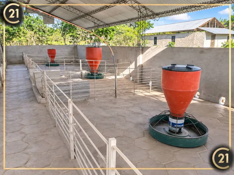 Propiedad rural de 21 hectáreas en venta en Portachuelo: foto 8 de 20